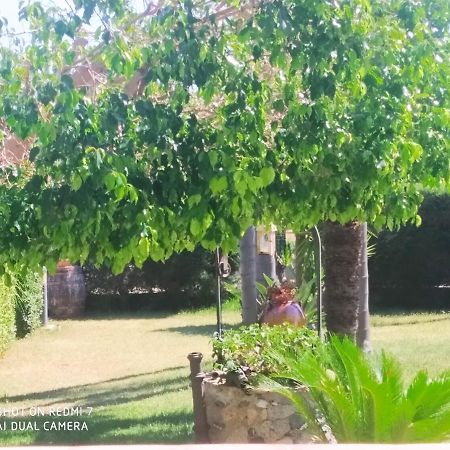 Apartmán Casa Melia Monasterace Exteriér fotografie