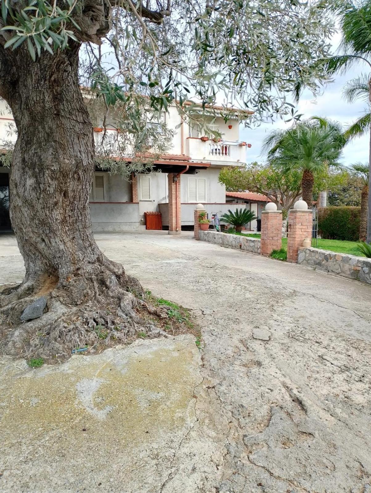 Apartmán Casa Melia Monasterace Exteriér fotografie